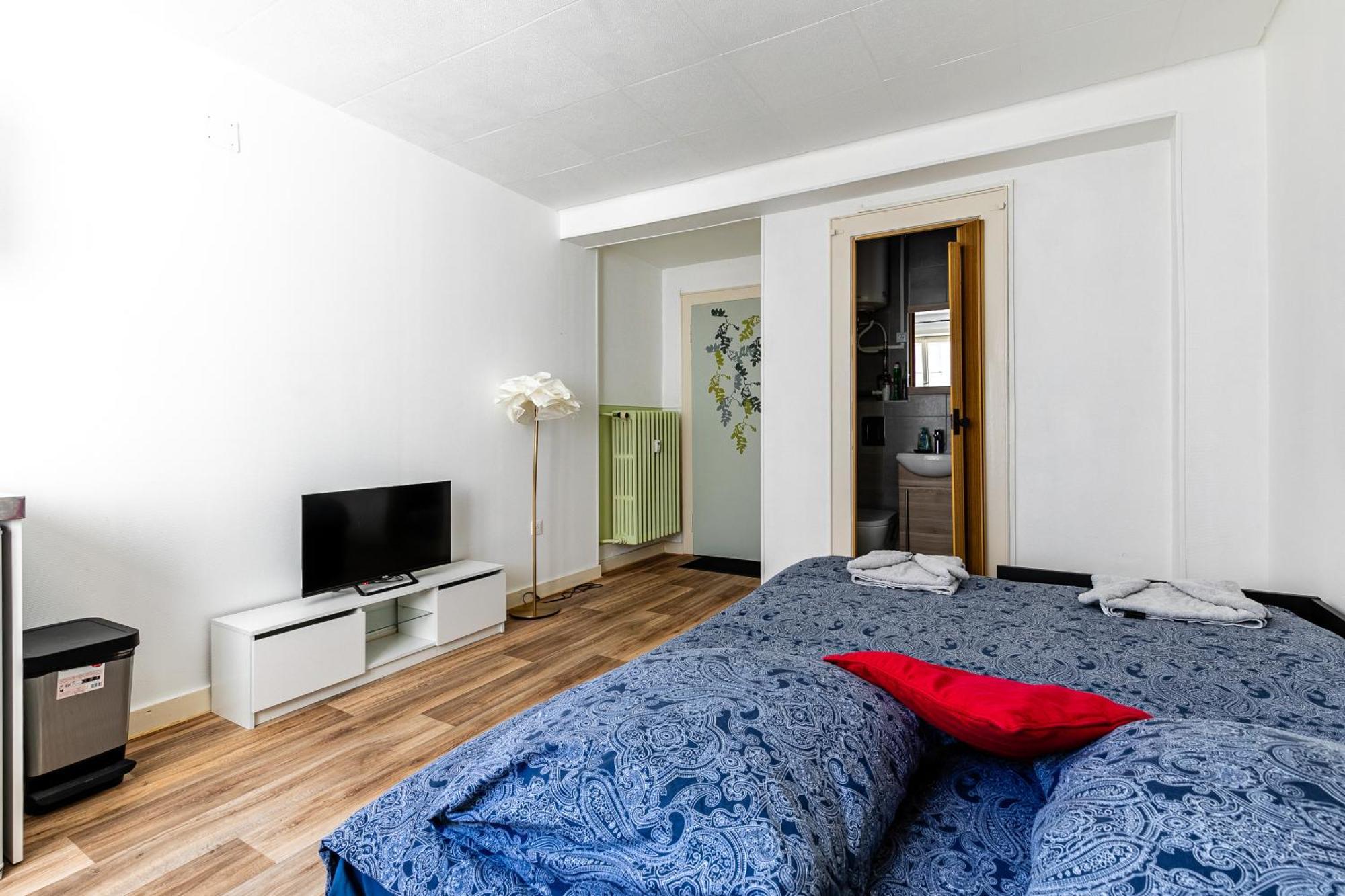 Studio Centre / Quartier Krutneau Strasbourg Luaran gambar